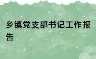 乡镇党支部书记工作报告