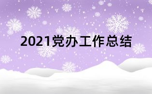 2021党办工作总结