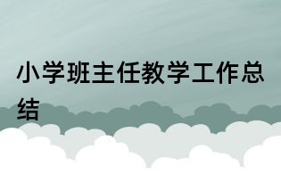 小学班主任教学工作总结