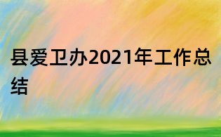 县爱卫办2021年工作总结