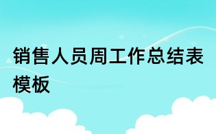 销售人员周工作总结表模板