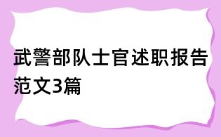武警部队士官述职报告范文3篇