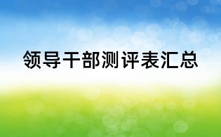 领导干部测评表汇总