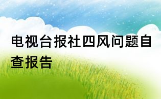 电视台报社四风问题自查报告