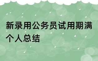 新录用公务员试用期满个人总结