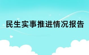 民生实事推进情况报告
