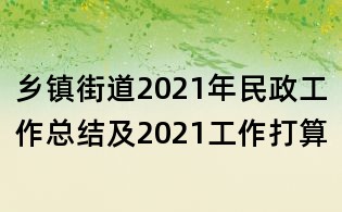 乡镇街道2021年民政工作总结及2021工作打算