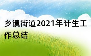 乡镇街道2021年计生工作总结