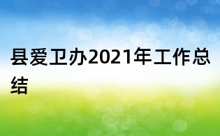 县爱卫办2021年工作总结