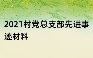 2021村党总支部先进事迹材料