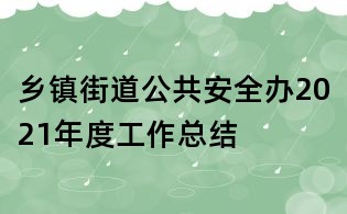 乡镇街道公共安全办2021年度工作总结