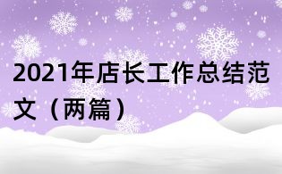 2021年店长工作总结范文(两篇)