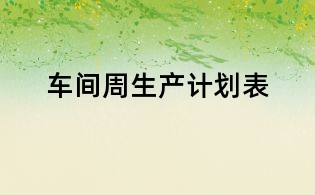 车间周生产计划表