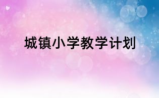 城镇小学教学计划