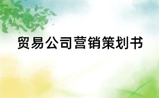 贸易公司营销策划书