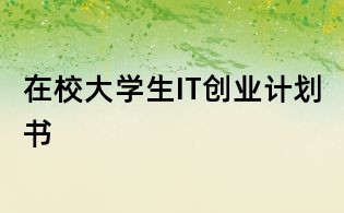 在校大学生IT创业计划书
