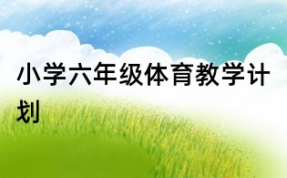 小学六年级体育教学计划