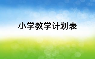 小学教学计划表