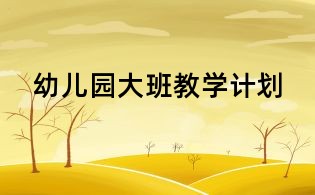 幼儿园大班教学计划