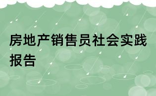 房地产销售员社会实践报告