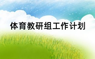 体育教研组工作计划