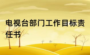 电视台部门工作目标责任书