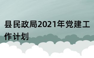 县民政局2021年党建工作计划