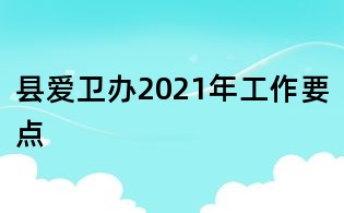 县爱卫办2021年工作要点