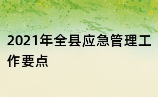2021年全县应急管理工作要点