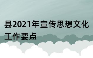 县2021年宣传思想文化工作要点