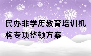 民办非学历教育培训机构专项整顿方案