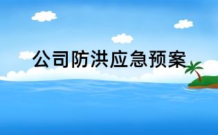 公司防洪应急预案
