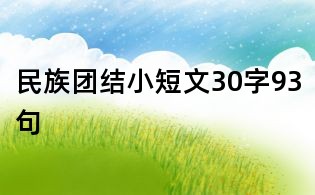民族团结小短文30字93句