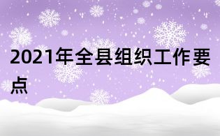 2021年全县组织工作要点
