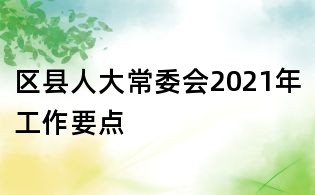 区县人大常委会2021年工作要点