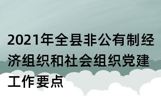 2021年全县非公有制经济组织和社会组织党建工作要点