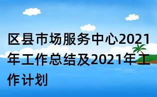 区县市场服务中心2021年工作总结及2021年工作计划