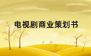 电视剧商业策划书