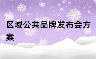 区域公共品牌发布会方案