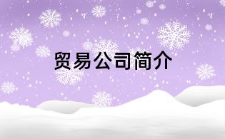 贸易公司简介