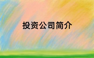 投资公司简介