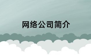 网络公司简介