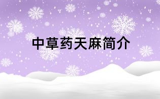 中草药天麻简介