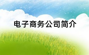 电子商务公司简介
