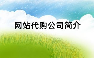 网站代购公司简介