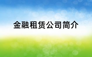 金融租赁公司简介