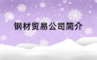 钢材贸易公司简介