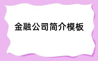 金融公司简介模板