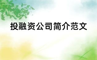 投融资公司简介范文