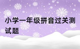 小学一年级拼音过关测试题